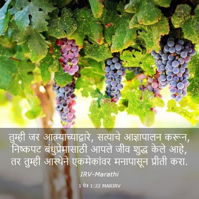 Picture 03 - 1 पेत्र 1:22 MARIRV - तुम्ही जर - Bible Verse Picture