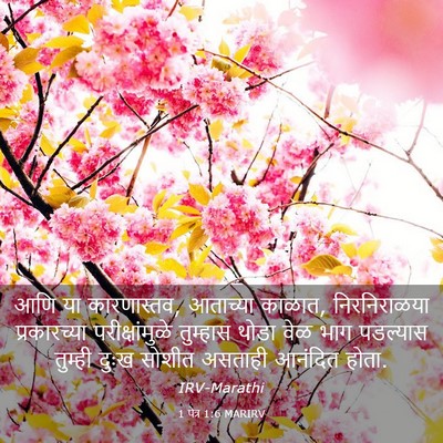 Picture 03 - 1 पेत्र 1:6 MARIRV - आणि या कारणास्तव, - Bible Verse Picture