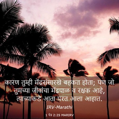 Picture 03 - 1 पेत्र 2:25 MARIRV - कारण तुम्ही - Bible Verse Picture