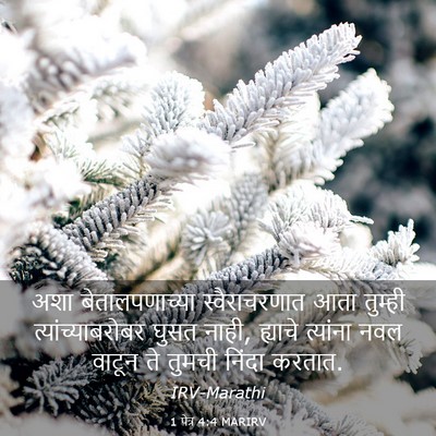 Picture 03 - 1 पेत्र 4:4 MARIRV - अशा बेतालपणाच्या - Bible Verse Picture