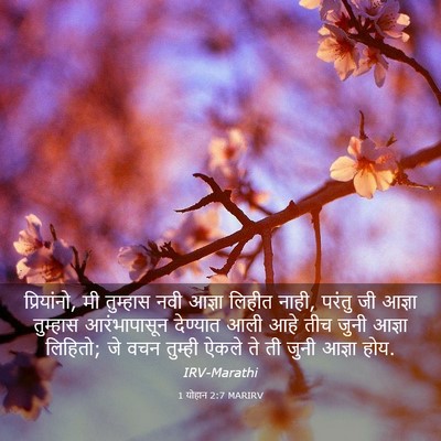 Picture 03 - 1 योहान 2:7 MARIRV - प्रियांनो, मी - Bible Verse Picture