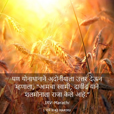 Picture 03 - 1 राजे 1:43 MARIRV - पण योनाथानाने - Bible Verse Picture