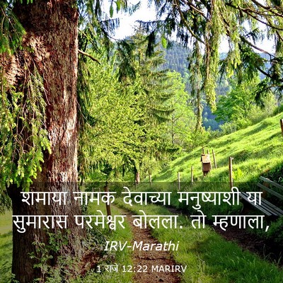 Picture 03 - 1 राजे 12:22 MARIRV - शमाया नामक - Bible Verse Picture