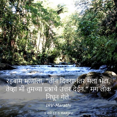 Picture 03 - 1 राजे 12:5 MARIRV - रहबाम म्हणाला, - Bible Verse Picture