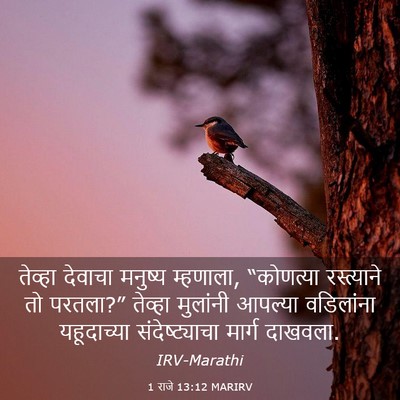 Picture 03 - 1 राजे 13:12 MARIRV - तेव्हा देवाचा - Bible Verse Picture