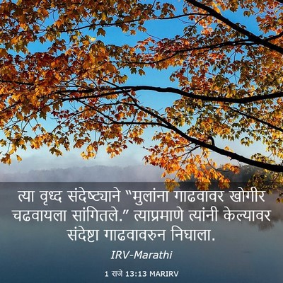 Picture 03 - 1 राजे 13:13 MARIRV - त्या वृध्द - Bible Verse Picture
