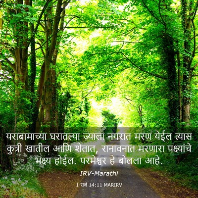 Picture 03 - 1 राजे 14:11 MARIRV - यराबामाच्या - Bible Verse Picture