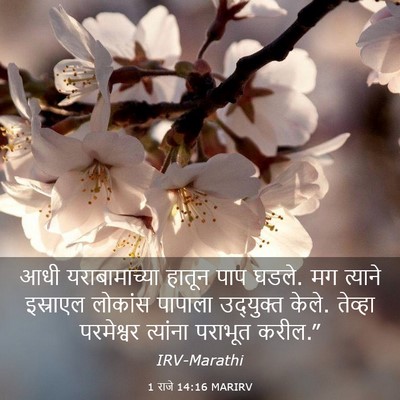 Picture 03 - 1 राजे 14:16 MARIRV - आधी यराबामाच्या - Bible Verse Picture