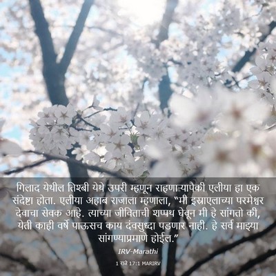 Picture 03 - 1 राजे 17:1 MARIRV - गिलाद येथील - Bible Verse Picture