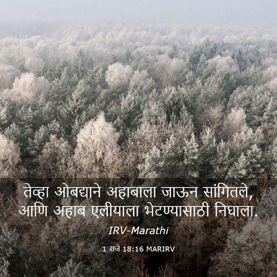 Picture 03 - 1 राजे 18:16 MARIRV - तेव्हा ओबद्याने - Bible Verse Picture