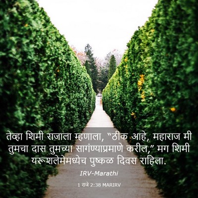 Picture 03 - 1 राजे 2:38 MARIRV - तेव्हा शिमी - Bible Verse Picture