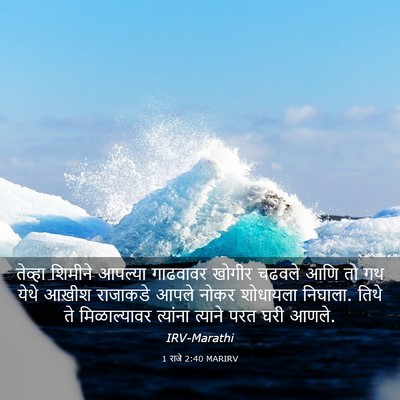 Picture 03 - 1 राजे 2:40 MARIRV - तेव्हा शिमीने - Bible Verse Picture