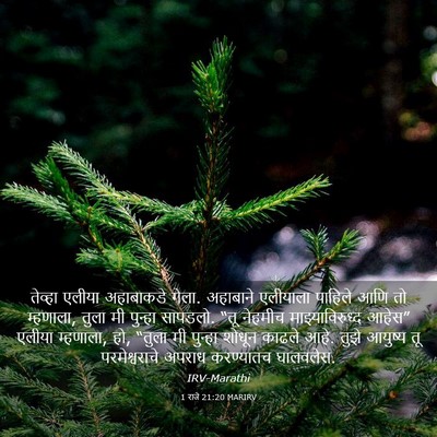 Picture 03 - 1 राजे 21:20 MARIRV - तेव्हा एलीया - Bible Verse Picture