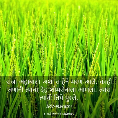 Picture 03 - 1 राजे 22:37 MARIRV - राजा अहाबाला अशा - Bible Verse Picture