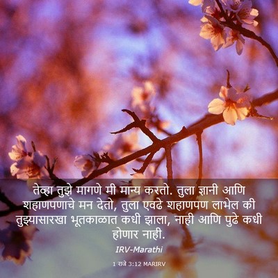 Picture 03 - 1 राजे 3:12 MARIRV - तेव्हा तुझे मागणे - Bible Verse Picture