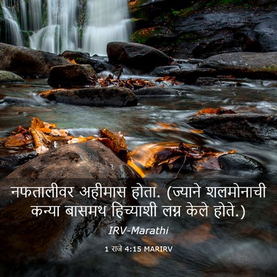 Picture 03 - 1 राजे 4:15 MARIRV - नफतालीवर अहीमास - Bible Verse Picture
