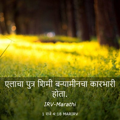 Picture 03 - 1 राजे 4:18 MARIRV - एलाचा पुत्र शिमी - Bible Verse Picture