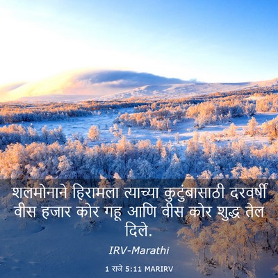 Picture 03 - 1 राजे 5:11 MARIRV - शलमोनाने हिरामला - Bible Verse Picture