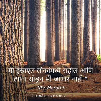 Picture 03 - 1 राजे 6:13 MARIRV - मी इस्राएल - Bible Verse Picture