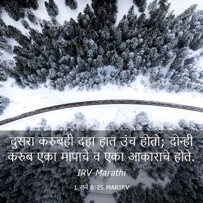 Picture 03 - 1 राजे 6:25 MARIRV - दुसरा करुबही दहा - Bible Verse Picture