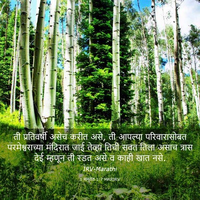 Picture 03 - 1 शमुवेल 1:7 MARIRV - ती प्रतिवर्षी - Bible Verse Picture