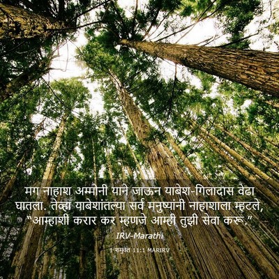 Picture 03 - 1 शमुवेल 11:1 MARIRV - मग नाहाश अम्मोनी - Bible Verse Picture