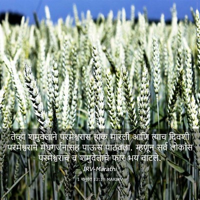 Picture 03 - 1 शमुवेल 12:18 MARIRV - तेव्हा शमुवेलाने - Bible Verse Picture