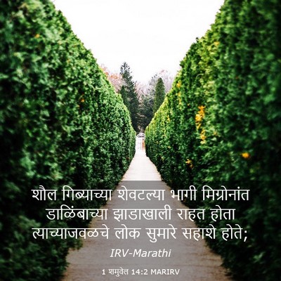 Picture 03 - 1 शमुवेल 14:2 MARIRV - शौल गिब्याच्या - Bible Verse Picture