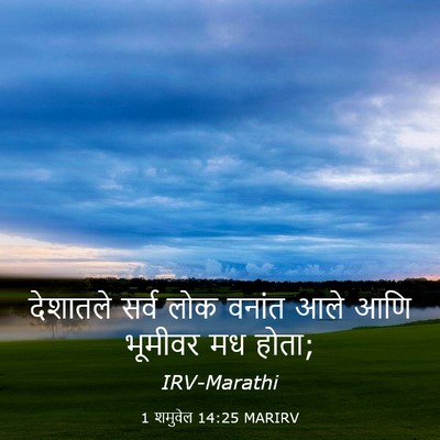 Picture 03 - 1 शमुवेल 14:25 MARIRV - देशातले सर्व लोक - Bible Verse Picture