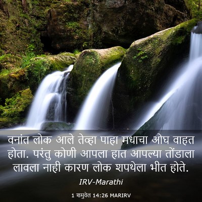 Picture 03 - 1 शमुवेल 14:26 MARIRV - वनांत लोक आले - Bible Verse Picture