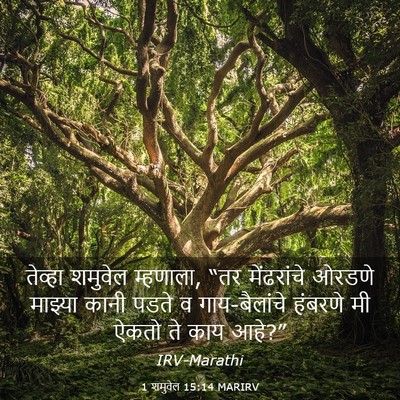 Picture 03 - 1 शमुवेल 15:14 MARIRV - तेव्हा शमुवेल - Bible Verse Picture
