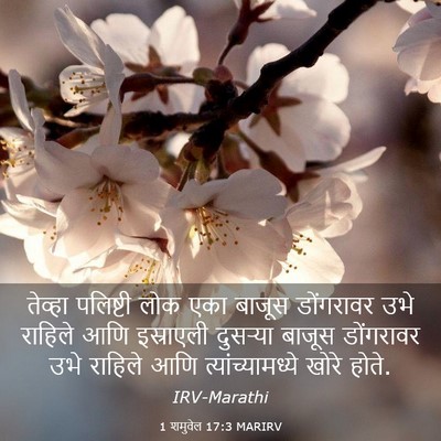 Picture 03 - 1 शमुवेल 17:3 MARIRV - तेव्हा पलिष्टी - Bible Verse Picture