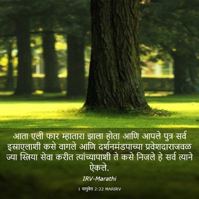 Picture 03 - 1 शमुवेल 2:22 MARIRV - आता एली फार - Bible Verse Picture