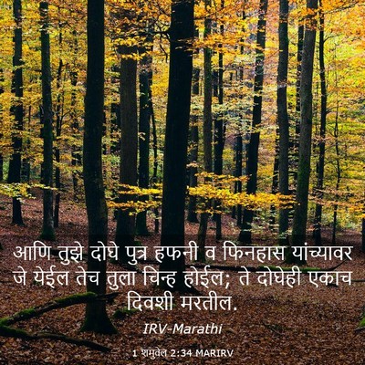 Picture 03 - 1 शमुवेल 2:34 MARIRV - आणि तुझे दोघे - Bible Verse Picture