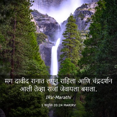 Picture 03 - 1 शमुवेल 20:24 MARIRV - मग दावीद रानात - Bible Verse Picture