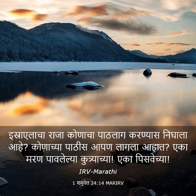 Picture 03 - 1 शमुवेल 24:14 MARIRV - इस्राएलाचा राजा - Bible Verse Picture