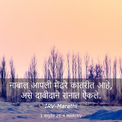 Picture 03 - 1 शमुवेल 25:4 MARIRV - नाबाल आपली मेंढरे - Bible Verse Picture