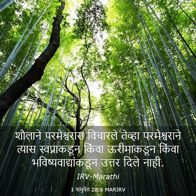Picture 03 - 1 शमुवेल 28:6 MARIRV - शौलाने परमेश्वरास - Bible Verse Picture