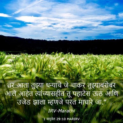 Picture 03 - 1 शमुवेल 29:10 MARIRV - तर आता तुझ्या - Bible Verse Picture