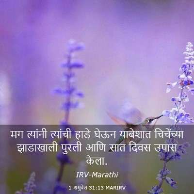 Picture 03 - 1 शमुवेल 31:13 MARIRV - मग त्यांनी - Bible Verse Picture