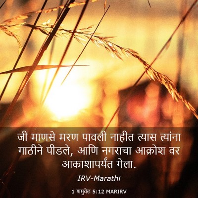 Picture 03 - 1 शमुवेल 5:12 MARIRV - जी माणसे मरण पावली - Bible Verse Picture