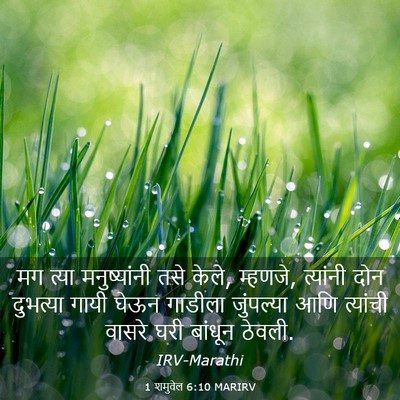 Picture 03 - 1 शमुवेल 6:10 MARIRV - मग त्या - Bible Verse Picture