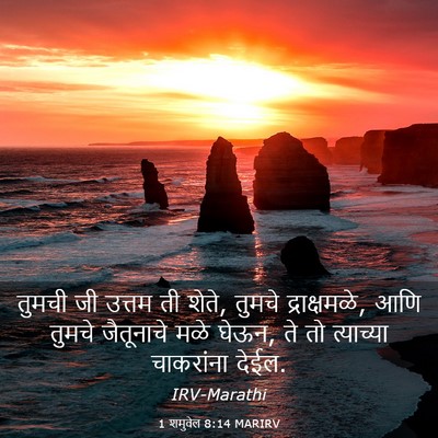 Picture 03 - 1 शमुवेल 8:14 MARIRV - तुमची जी उत्तम ती - Bible Verse Picture