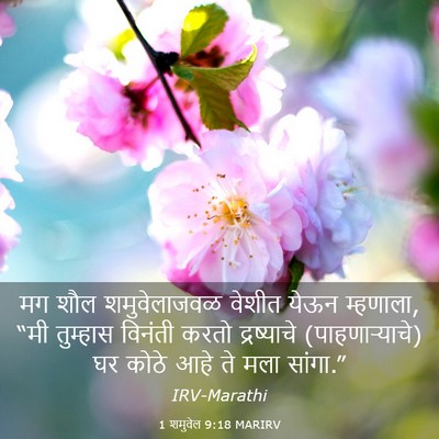Picture 03 - 1 शमुवेल 9:18 MARIRV - मग शौल शमुवेलाजवळ - Bible Verse Picture