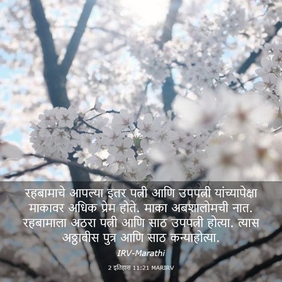 Picture 03 - 2 इतिहास 11:21 MARIRV - रहबामाचे आपल्या - Bible Verse Picture