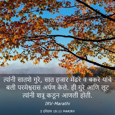 Picture 03 - 2 इतिहास 15:11 MARIRV - त्यांनी सातशे - Bible Verse Picture