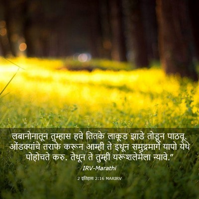 Picture 03 - 2 इतिहास 2:16 MARIRV - लबानोनातून - Bible Verse Picture