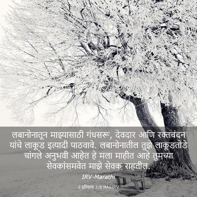 Picture 03 - 2 इतिहास 2:8 MARIRV - लबानोनातून - Bible Verse Picture