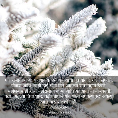 Picture 03 - 2 इतिहास 22:11 MARIRV - पण राजाची कन्या - Bible Verse Picture