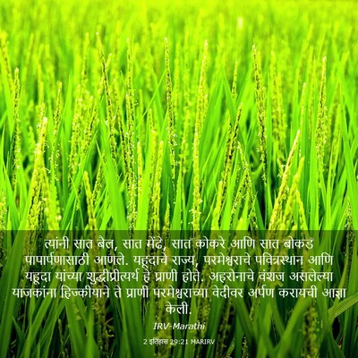 Picture 03 - 2 इतिहास 29:21 MARIRV - त्यांनी सात बैल, - Bible Verse Picture